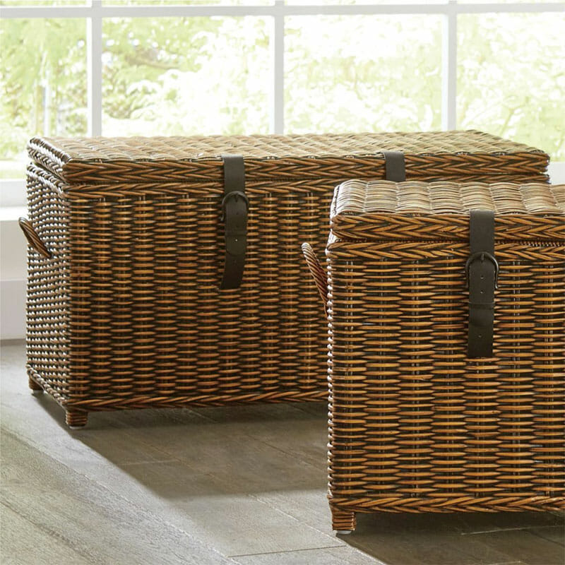 Storage Trunk