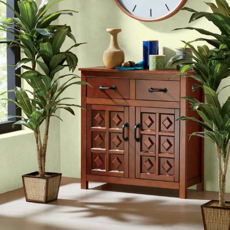 living room plants and cabinet