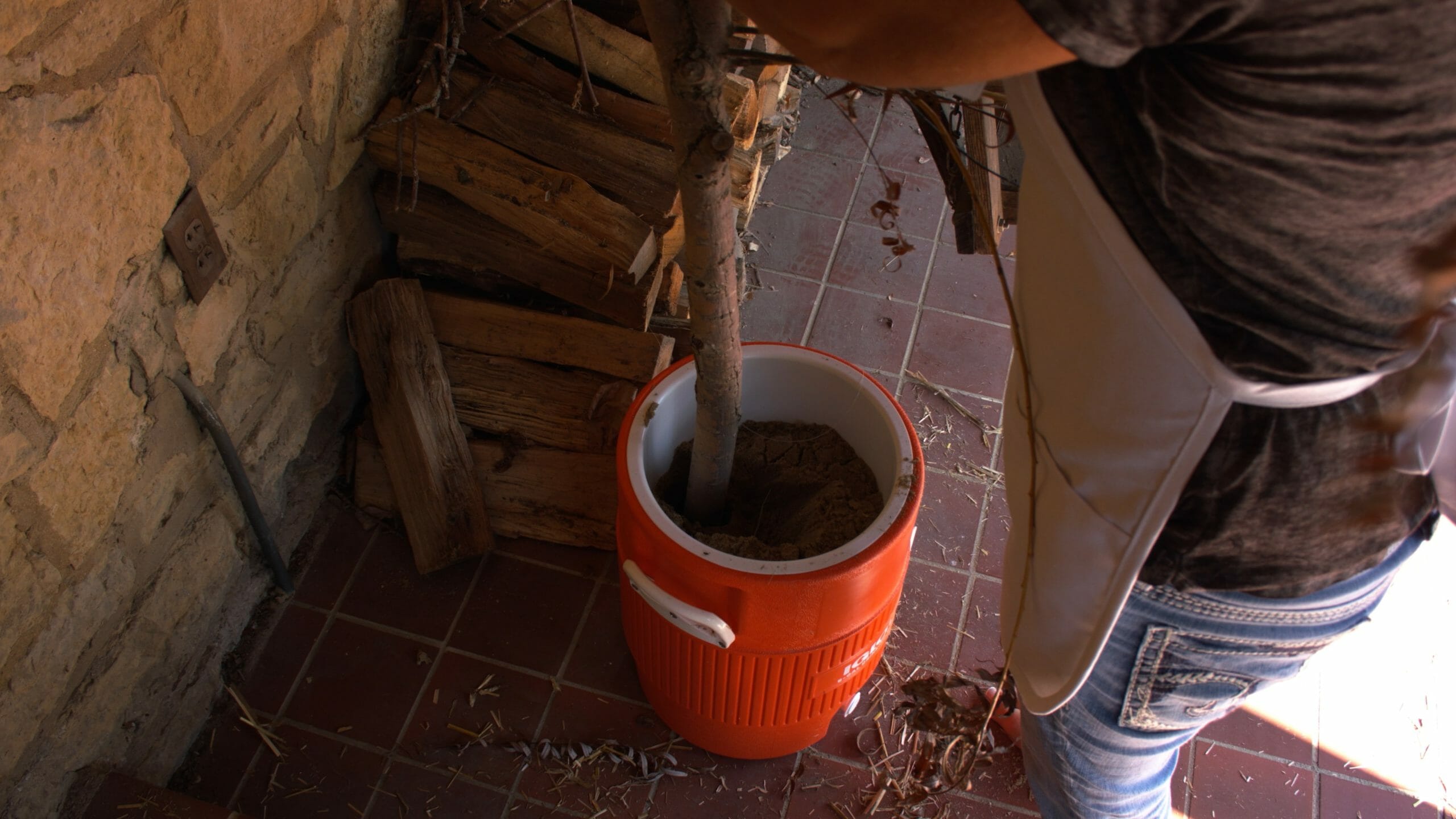 woman placing tree branch in a five gallon bucket full of sand