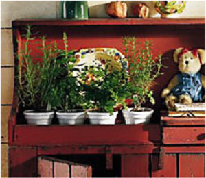 Four small white pots with herbs on a rustic red  kitchen cupboard, with a floral platter and a teddy bear.