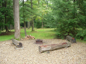 A camping spot in the woods, with logs for benches around a metal fire pit.