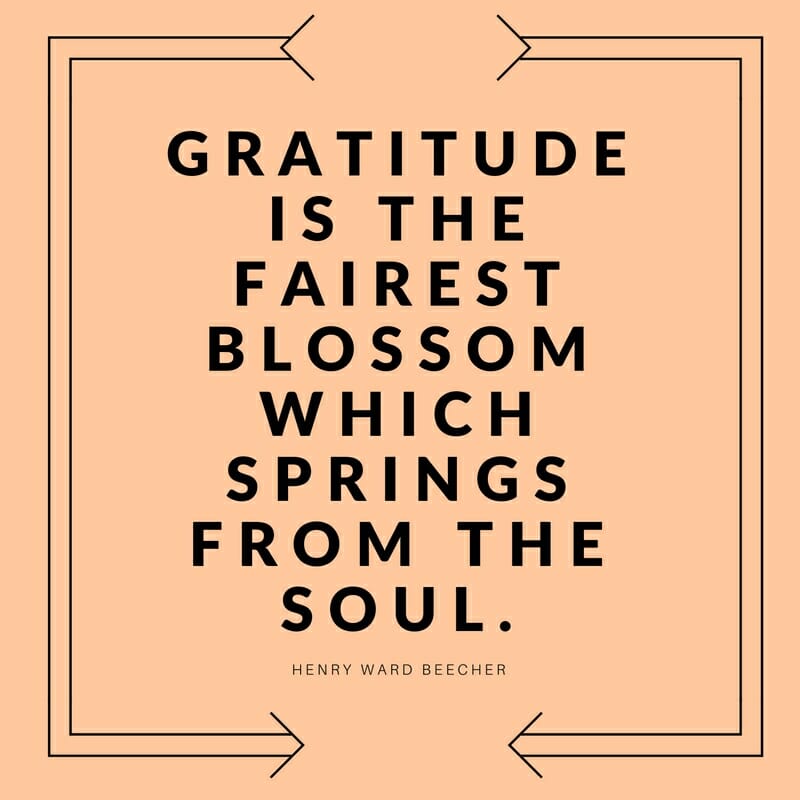 Thanksgiving quote: Gratitude is the fairest blossom which springs from the soul. Henry Ward Beecher
