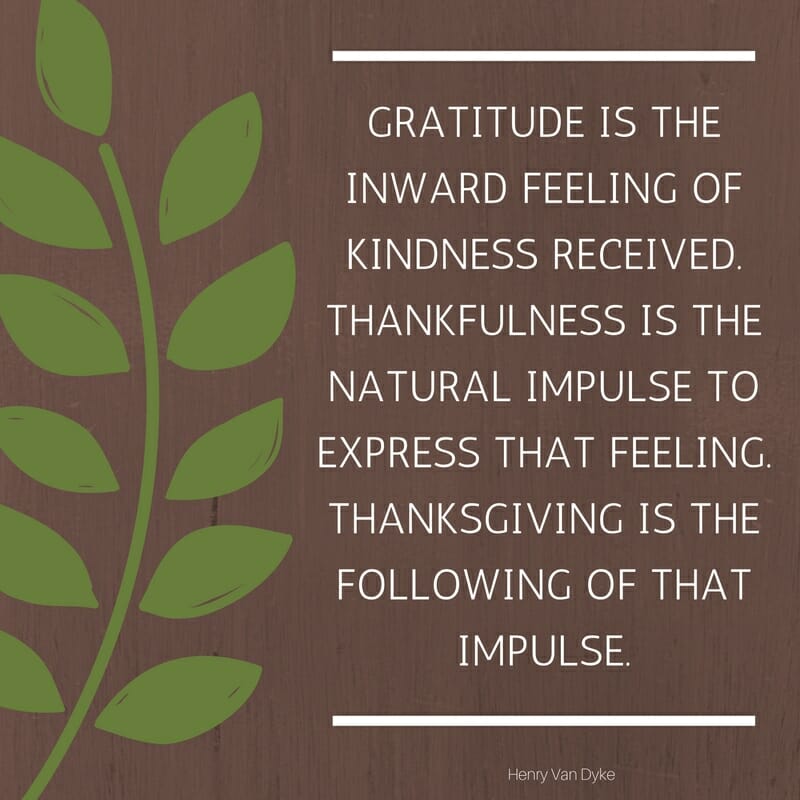 Thanksgiving Quote: Gratitude is the inward feeling of kindness received. Thankfulness is the natural impulse to express that feeling. Thanksgiving is the following of that impulse. Henry Van Dyke