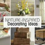 Nature-Inspired Home Décor Ideas