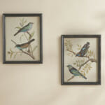 Set of 2 Masley Framed Bird Art