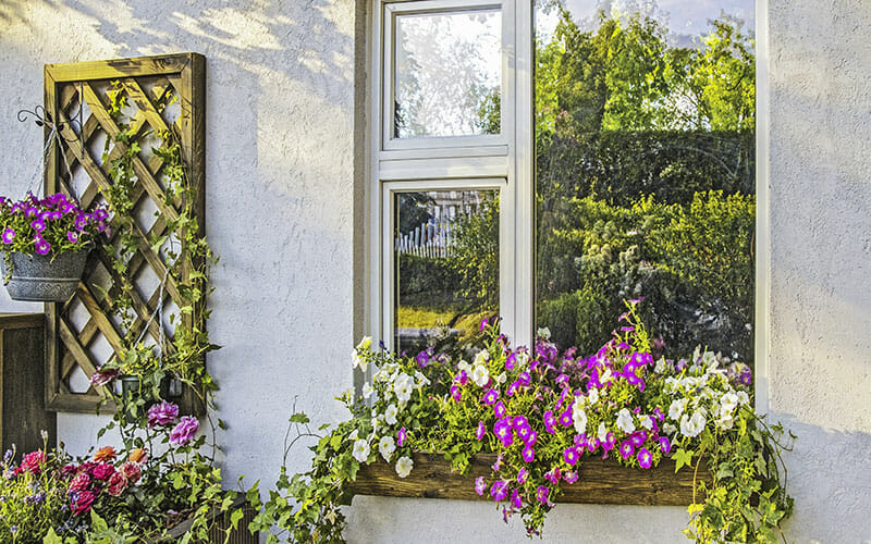 A hanging basket and a window box of magenta and white petunias, and a planter with multicolor flowers.