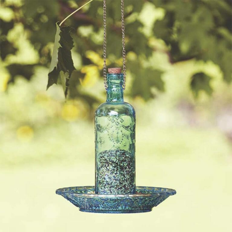 A corked, blue glass bottle bird feeder with a glass tray, hung by a chain on a tree branch.