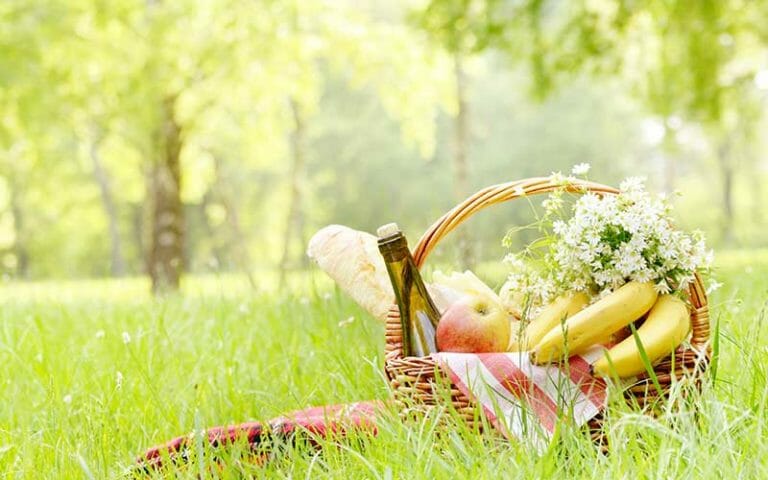 A woven picnic basket on grass, packed with a red check towel, apples, bananas, French bread, a corked bottle, and flowers.
