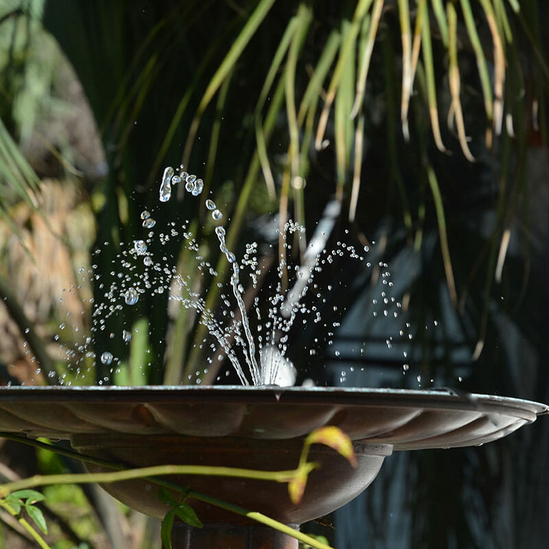 A close view of a solar bird bath water fountain at dusk, with spraying drops of water.