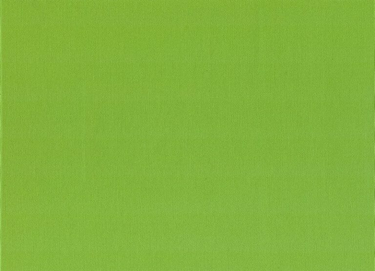 Veranda Citrus – A fabric swatch in solid lime.