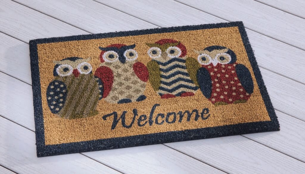 colorful owl welcome mat