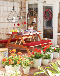 patio with geraniums 